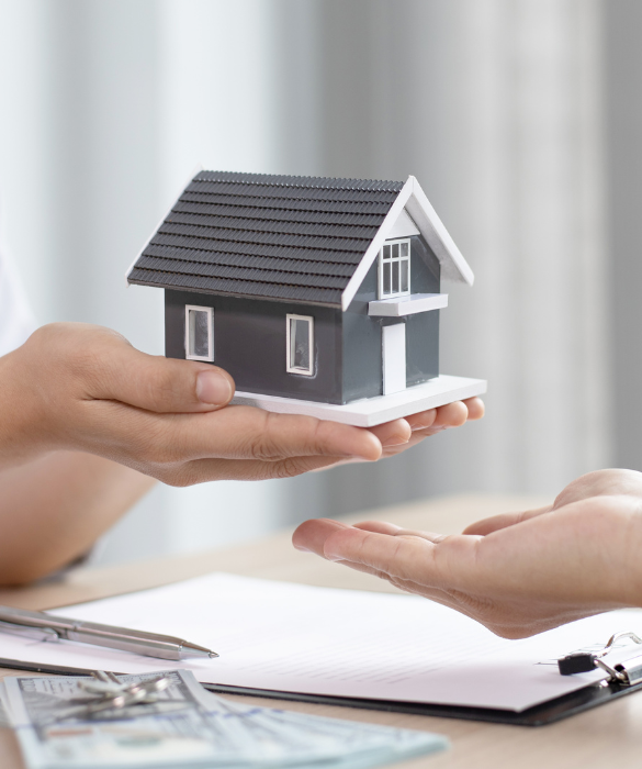 Abbasia Real Estate trusted real estate agency in Rahim Yar Khan